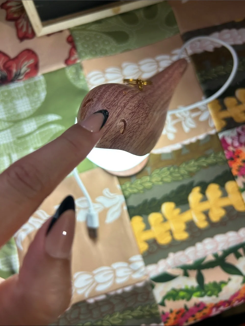Bird Light 💡 with usb cable